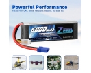 11.1V - 11.1V 60C 6000mAh soft pack with EC5